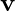 \mathbf{v}