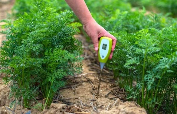 temp-sensor-agriculture